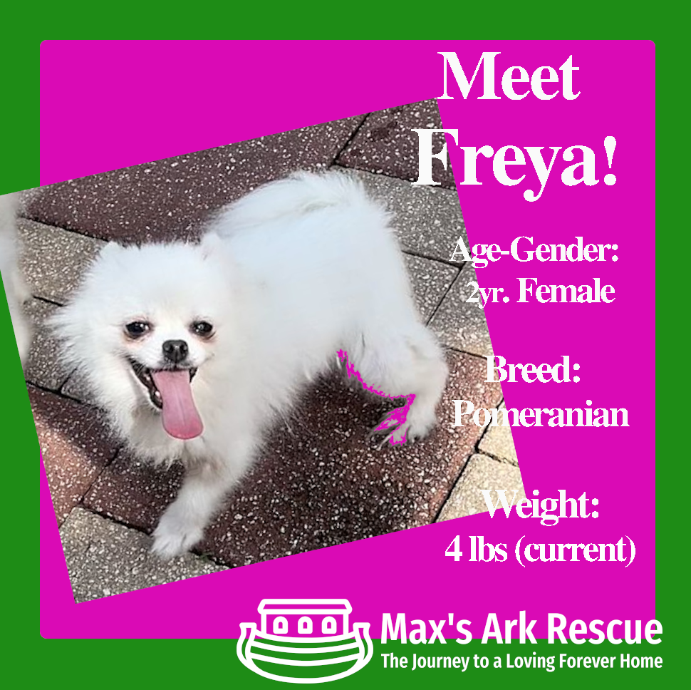 My Name Is Freya!