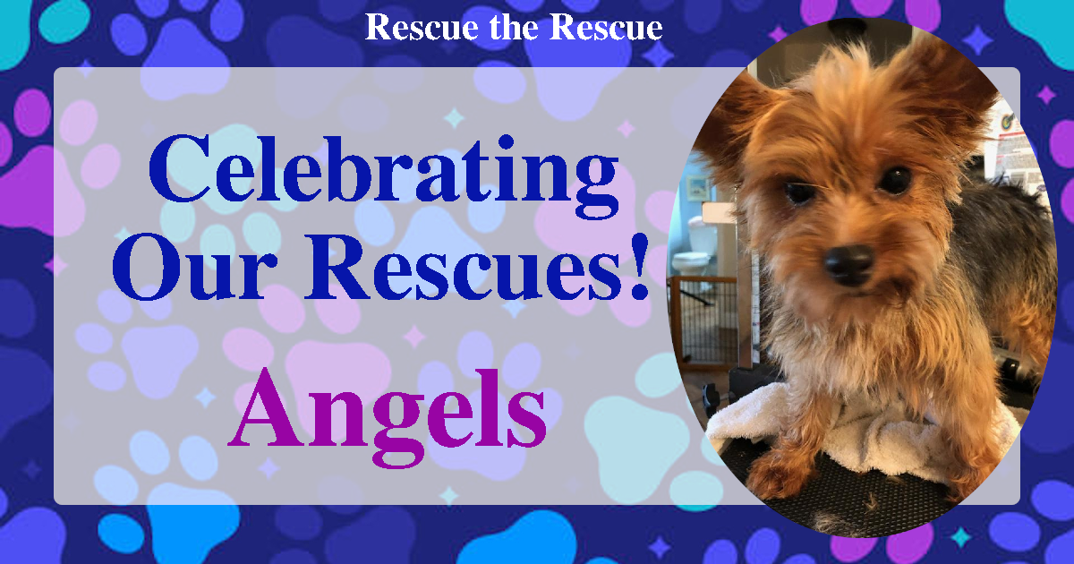 I Don’t Want Any Babies!!! - Max's Ark Rescue
