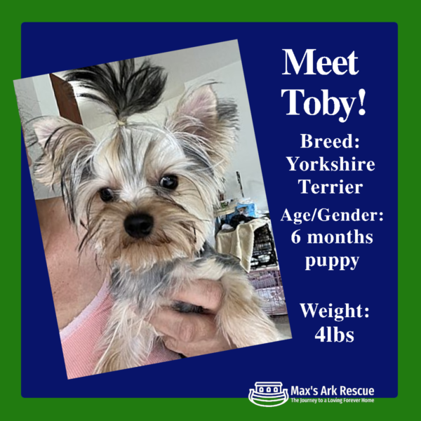 Meettoby