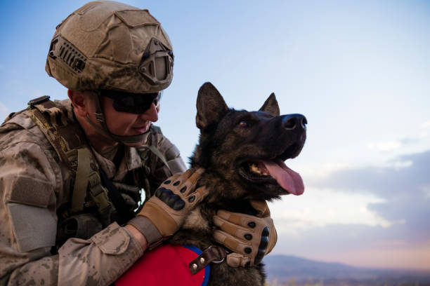 Honoring a Hero: A Rescue Dog Who Gave All for Our Country 🇺🇸🐾 - Max's ...